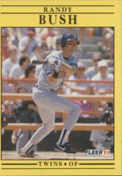 1991 Fleer Baseball "Main Set" Base Cards #481 to #720 - Bild 248 von 481