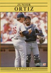 1991 Fleer Baseball "Main Set" Base Cards #481 to #720 - Bild 282 von 481