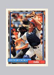 1992 Topps Micro #348 Rick Wilkins