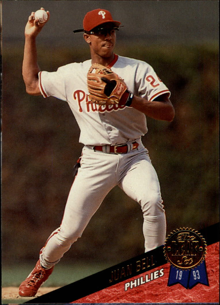 1993 Leaf Baseball "Main Set" Cards #201 to #400 - Picture 10 of 401