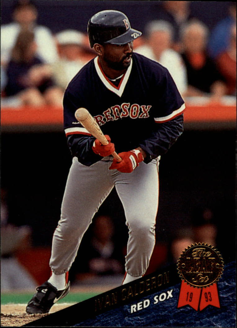 1993 Leaf Baseball "Main Set" Cards #201 to #400 - Picture 84 of 401