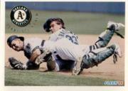 1994 Fleer Baseball "Main Set" Base Cards #241 to #480 - Picture 66 of 475