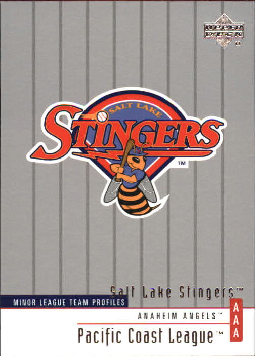 2002 UD Minor League #241 Salt Lake Stingers TM