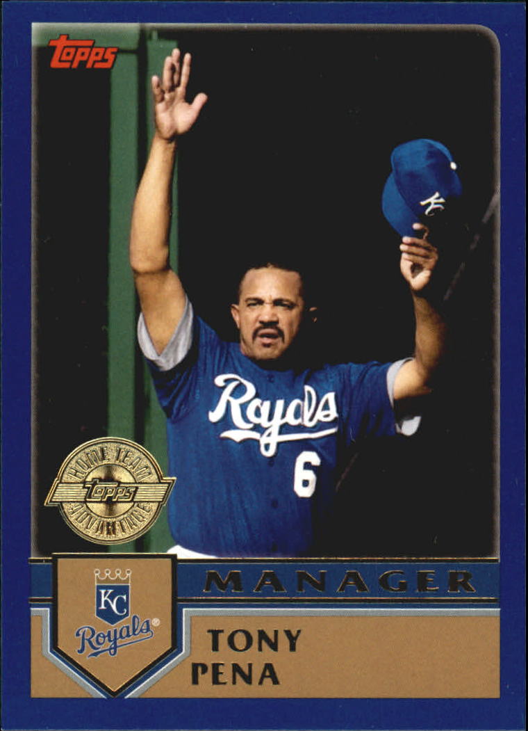 B6848- 2003 Topps Home Team Advantage BB 252-501 -You Pick- 15+ FREE US SHIP - Picture 46 of 487