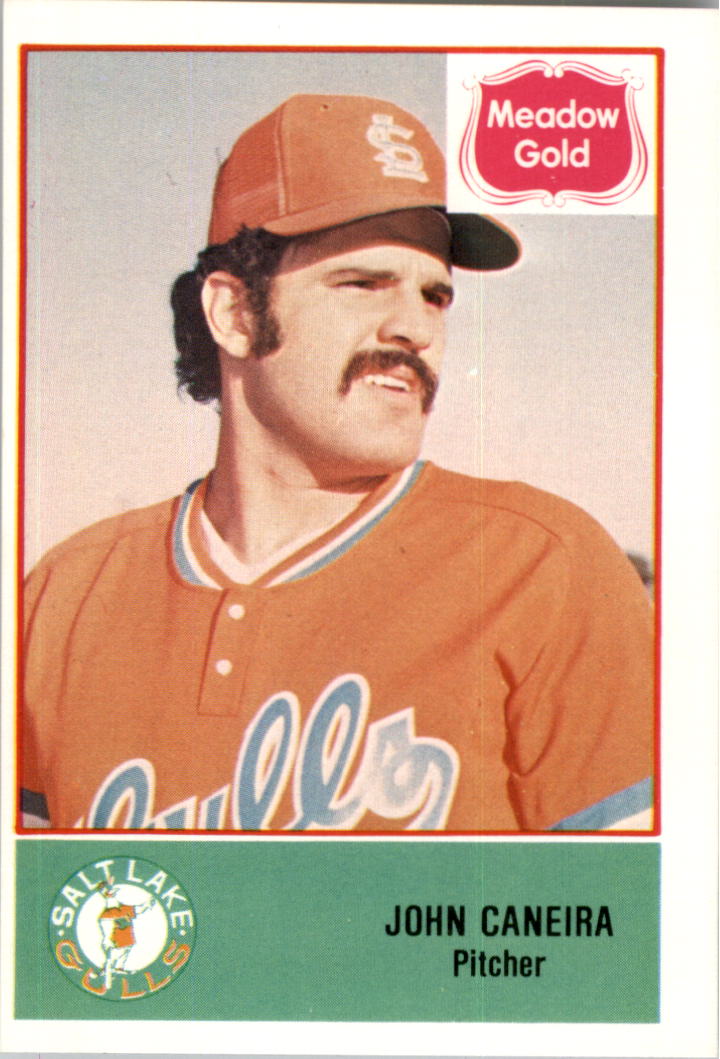 Tarjetas Cramer B6821- 1978 Salt Lake City Gulls 1-26 -Tú eliges- 15+ ENVÍO GRATUITO A EE. UU. - Imagen 32 de 49