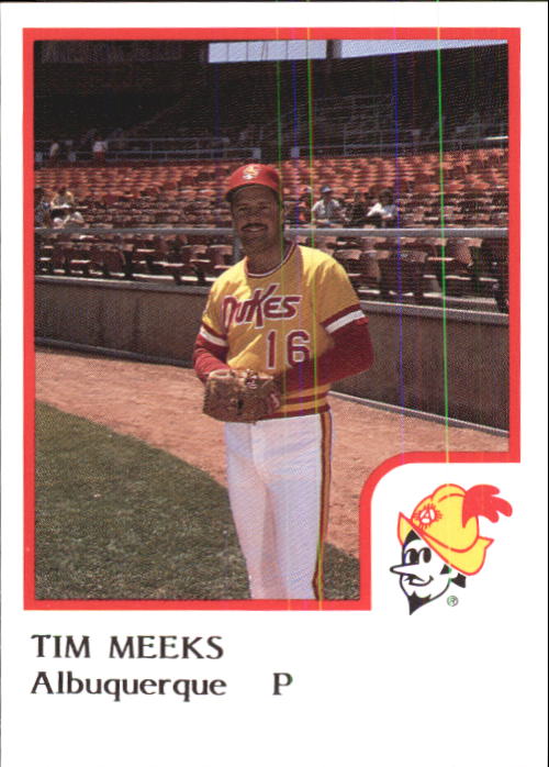 1986 Albuquerque Dukes ProCards #17 Tim Meeks back image
