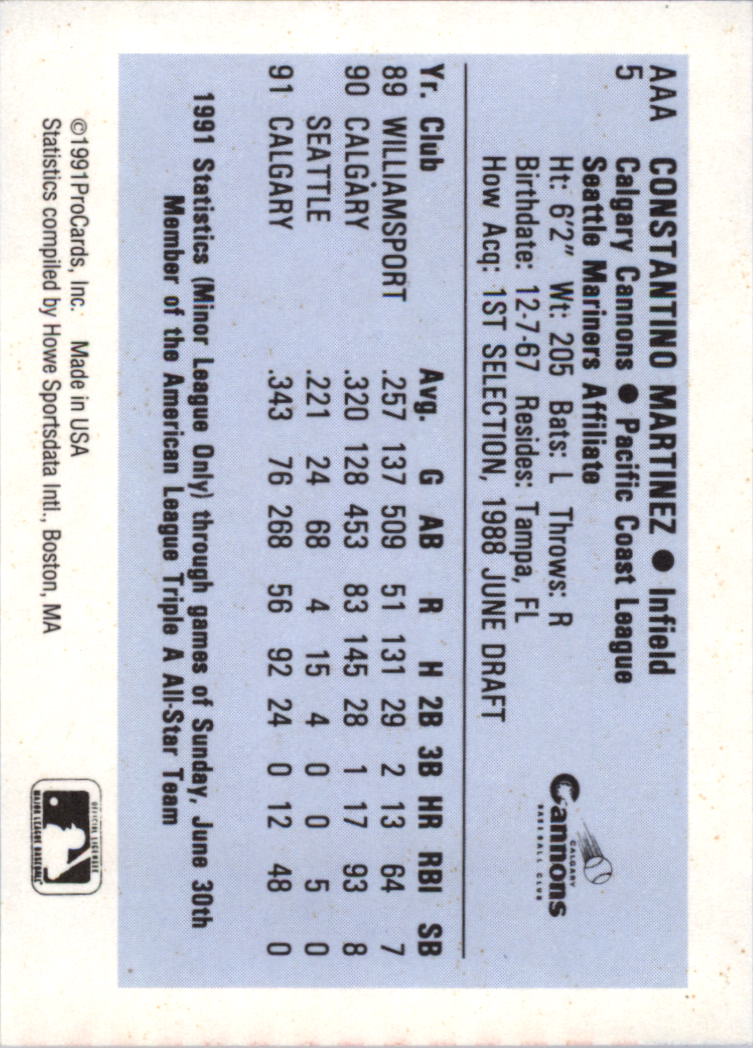 1991 Triple A All-Stars ProCards #AAA5 Tino Martinez back image
