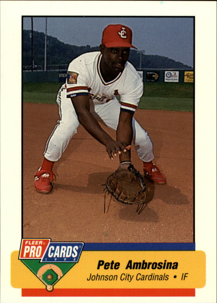 B6600- 1994 Fleer / Procards Minor League BB Group9 -du Pick- 15 + Free US - Bild 226 von 301