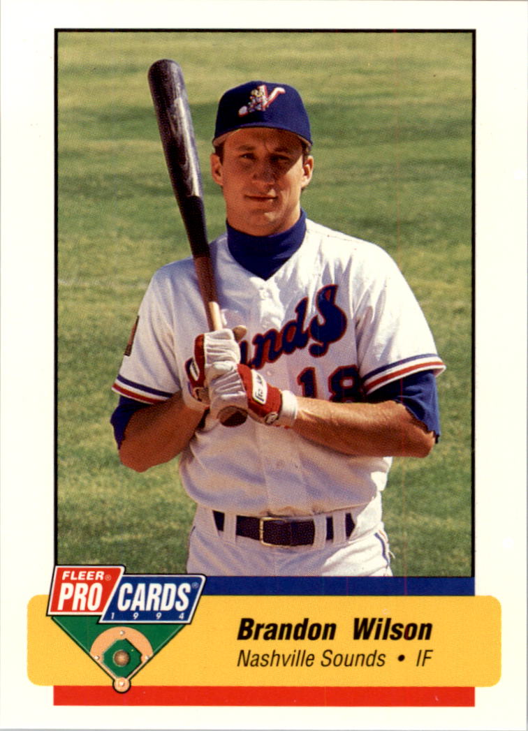 B6600- 1994 Fleer / Procards Minor League BB Group11 -du Pick- 15 + Free US - Bild 206 von 237
