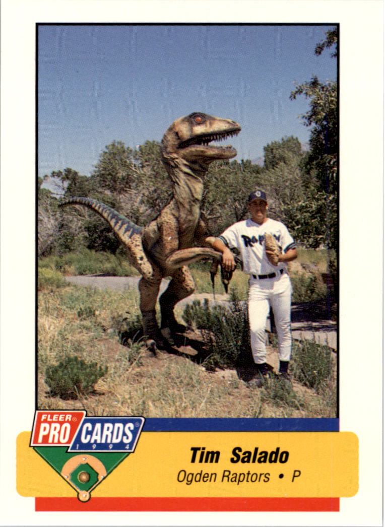 B6600- 1994 Fleer / Procards Minor League BB Group12 -du Pick- 15 + Free US - Bild 129 von 251