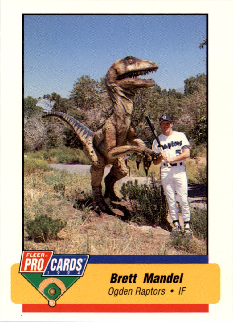 B6600- 1994 Fleer / Procards Minor League BB Group12 -du Pick- 15 + Free US - Bild 141 von 251