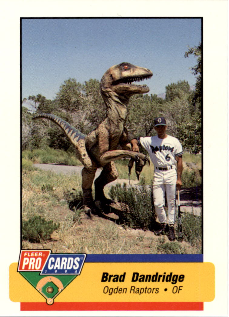 B6600- 1994 Fleer / Procards Minor League BB Group12 -du Pick- 15 + Free US - Bild 147 von 251