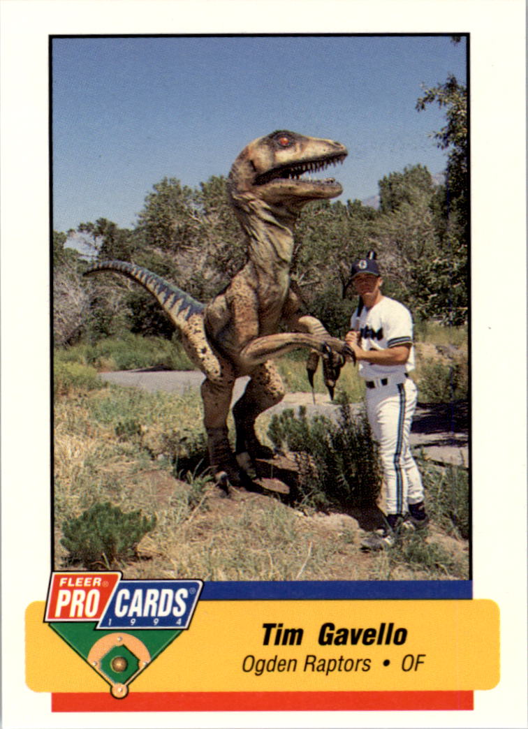 B6600- 1994 Fleer / Procards Minor League BB Group12 -du Pick- 15 + Free US - Bild 149 von 251