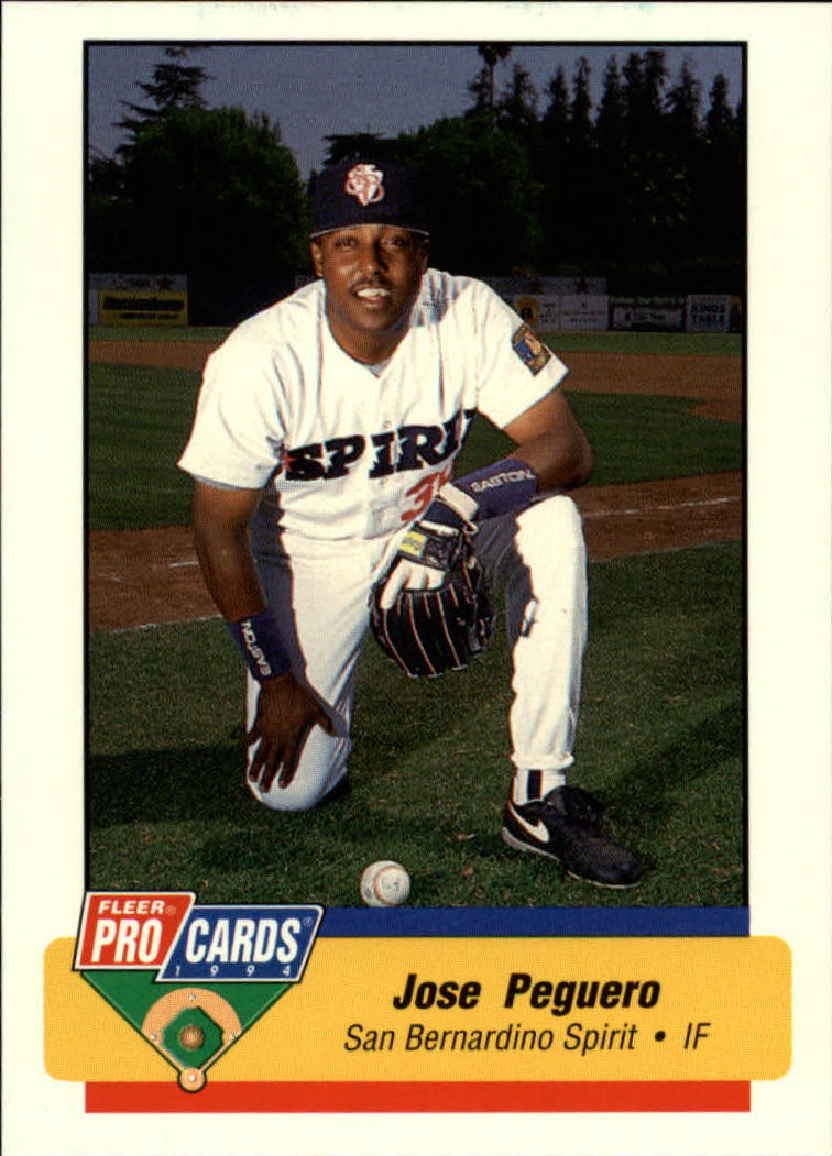B6600- 1994 Fleer / Procards Minor League BB Group15 -du Pick- 15 + Free US - Bild 46 von 253