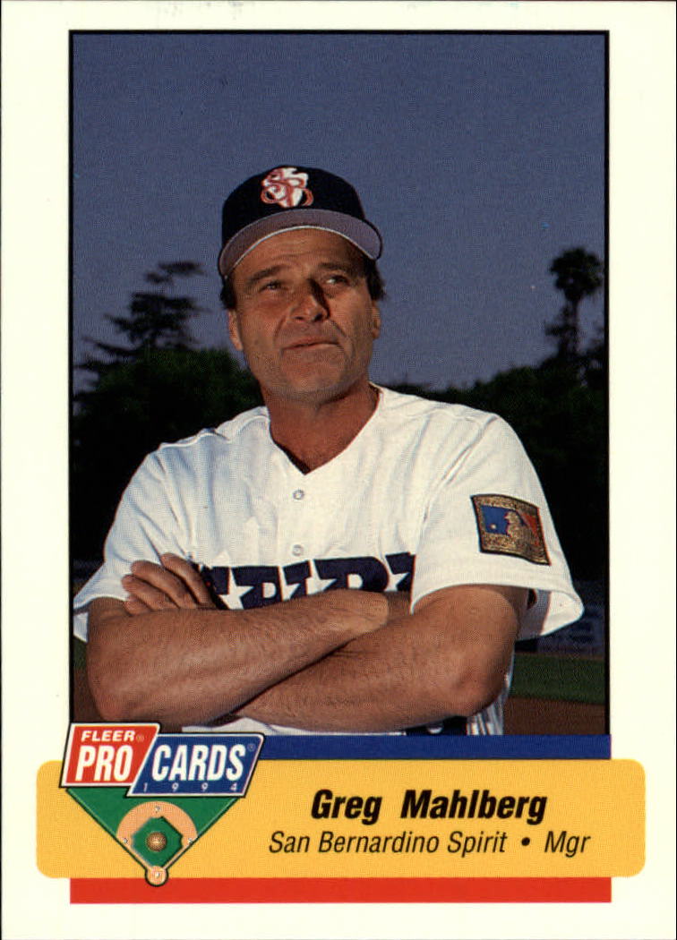 B6600- 1994 Fleer / Procards Minor League BB Group15 -du Pick- 15 + Free US - Bild 58 von 253
