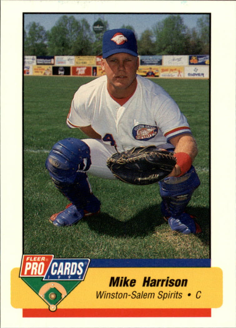 B6600- 1994 Fleer / Procards Minor League BB Group19 -du Pick- 15 + Free US - Bild 76 von 125