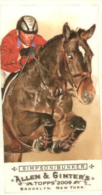 2009 Allen and Ginter (Topps) Baseball "Mini" Parallel Cards - Picture 181 of 409