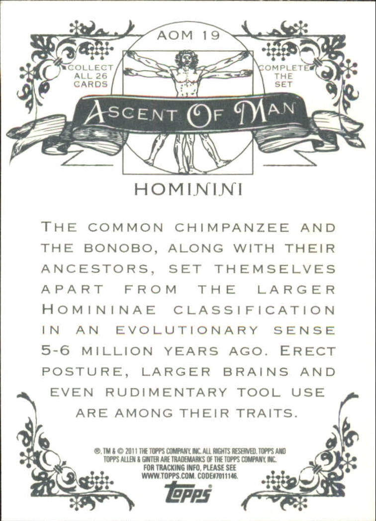 2011 Topps Allen and Ginter Ascent of Man #AOM19 Hominini back image