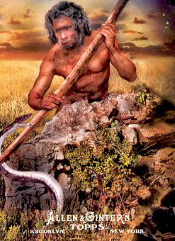 2011 Topps Allen and Ginter Ascent of Man #AOM23 Homo erectus