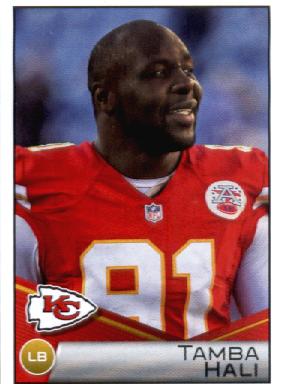 B2336- 2014 Panini Stickers Football Card #s 1-250 -You Pick- 15+ FREE US SHIP - Picture 177 of 224