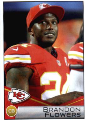 B2336- 2014 Panini Stickers Football Card #s 1-250 -You Pick- 15+ FREE US SHIP - Picture 179 of 224