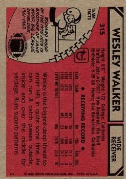 1980 Topps #315 Wesley Walker back image