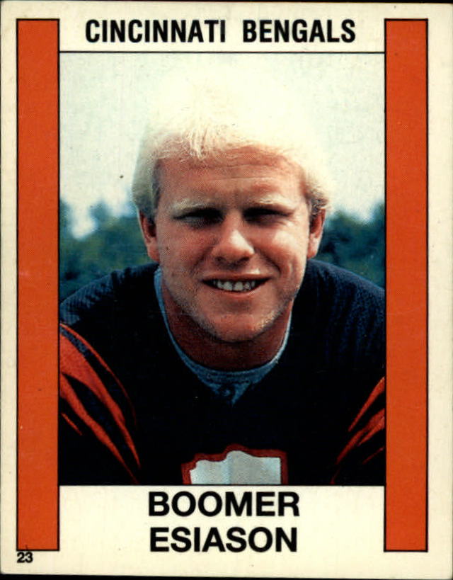 B2013- 1988 Panini Stickers Football Card #s 1-250 -You Pick- 15+ FREE US SHIP - Picture 8 of 63