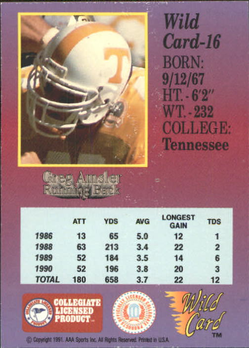 1991 Wild Card Draft #16 Greg Amsler back image