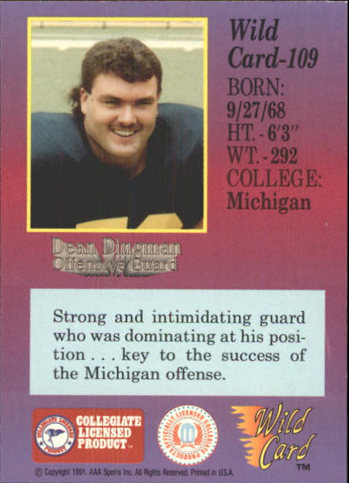 1991 Wild Card Draft #109 Dean Dingman back image