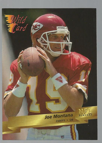 1993 Wild Card Football "Main Set" Base Cards - Picture 128 of 368