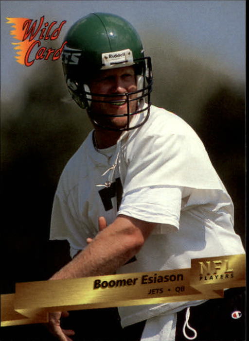 1993 Wild Card Football "Main Set" Base Cards - Picture 218 of 368