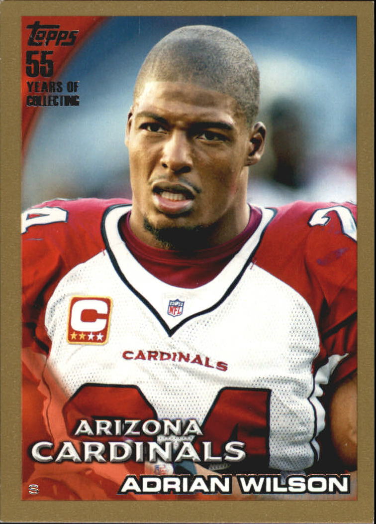 2010 Topps Football "Black - Blue - Gold" Parallel Cards - Picture 104 of 275