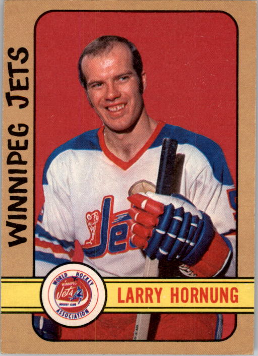 1972-73 O-Pee-Chee #317 Larry Hornung RC