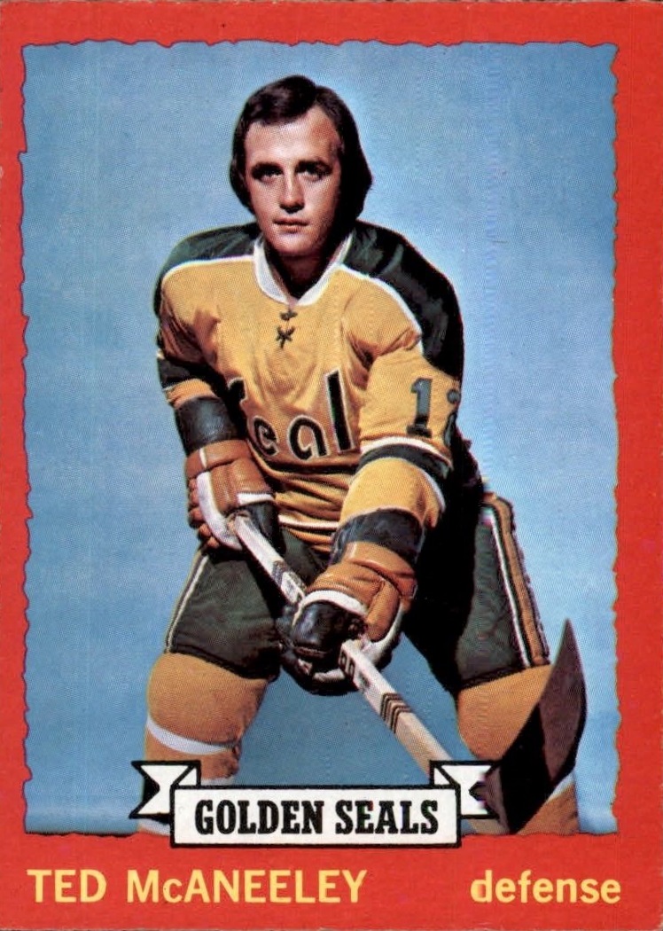 1973-74 O-Pee-Chee #37 Ted McAneeley