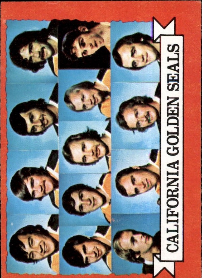 1973-74 O-Pee-Chee #95 Golden Seals Team