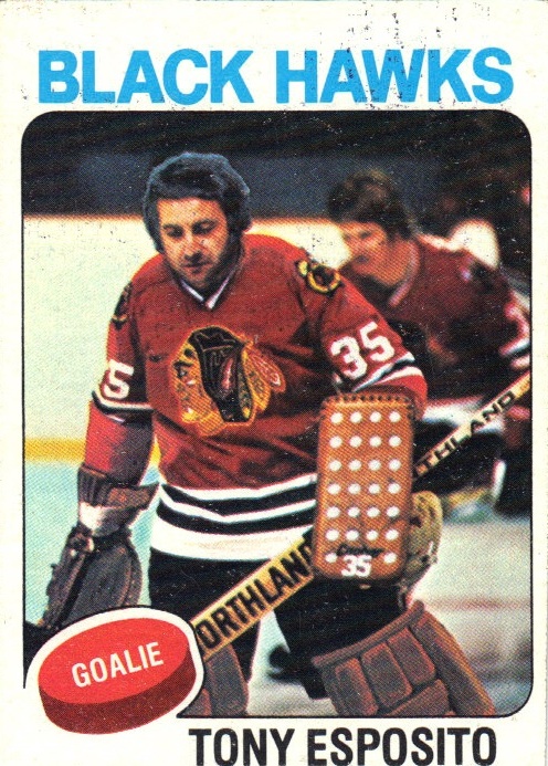 1975-76 Topps #240 Tony Esposito