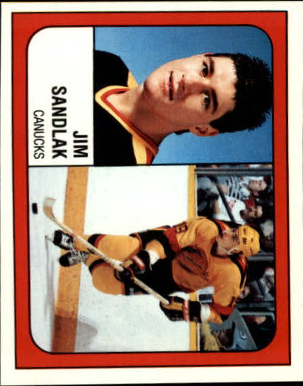 B3941- 1988-89 Panini Stickers Hk Card #s 1-250 -You Pick- 15+ FREE US SHIP - Picture 224 of 419