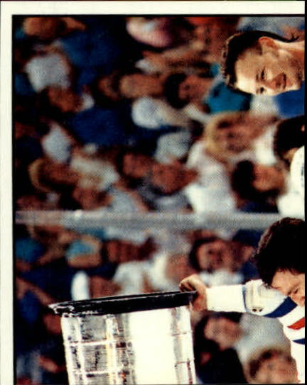 B3941- 1988-89 Panini Stickers Hk Card #s 1-250 -You Pick- 15+ FREE US SHIP - Picture 304 of 419