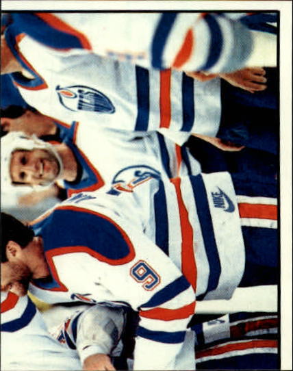 B3941- 1988-89 Panini Stickers Hk Card #s 1-250 -You Pick- 15+ FREE US SHIP - Picture 308 of 419