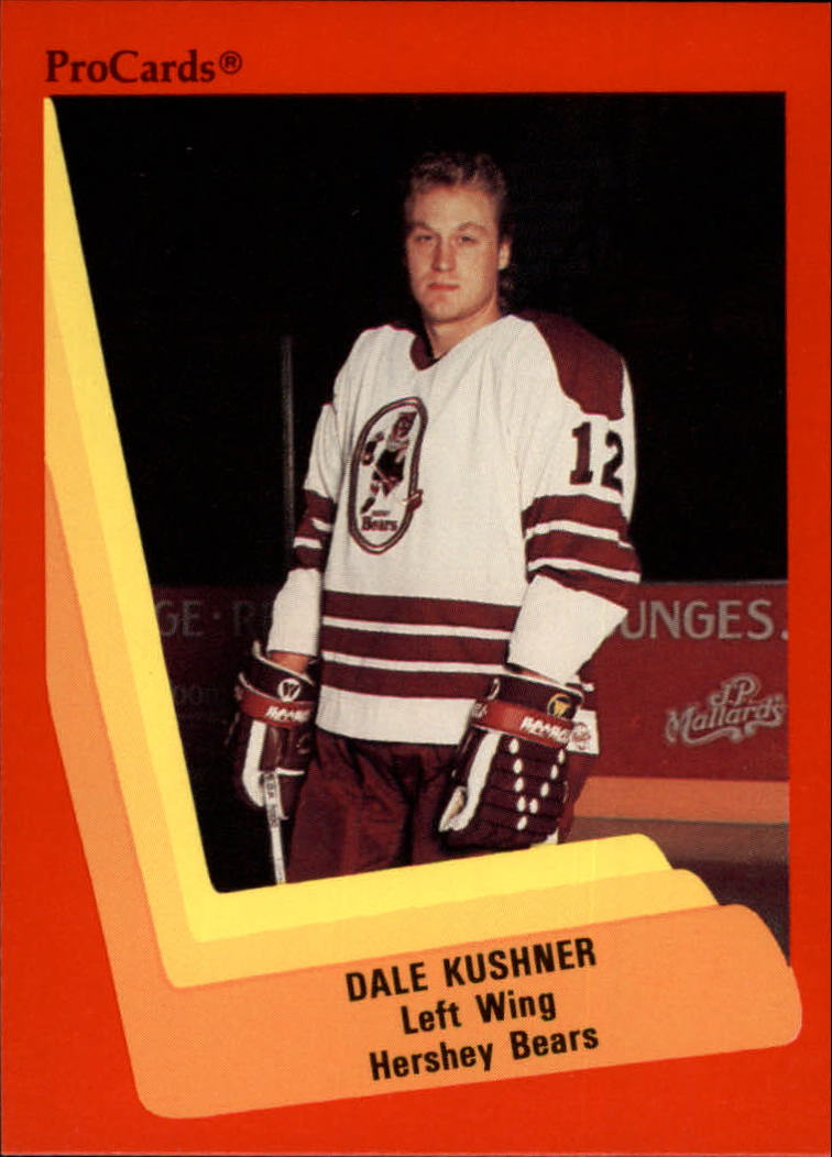 1990-91 ProCards AHL/IHL #28 Dale Kushner