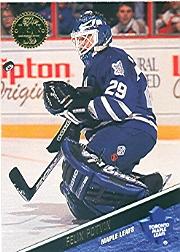 1993-94 Leaf #409 Felix Potvin