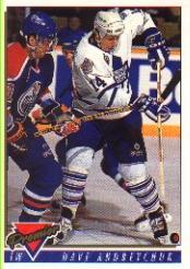 1993-94 Topps Premier #235 Dave Andreychuk