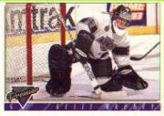 A0530- 1993-94 Topps Premier Hk Card #s 251-500 -You Pick- 15+ FREE US SHIP - Picture 333 of 374