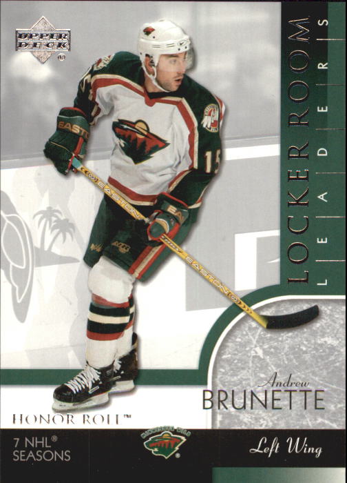 2002-03 Upper Deck Honor Roll - #22 Marty Turco