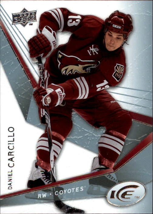 2008-09 Upper Deck Ice - #13 Chris Drury