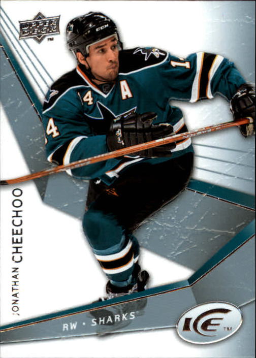 2008-09 Upper Deck Ice - #13 Chris Drury