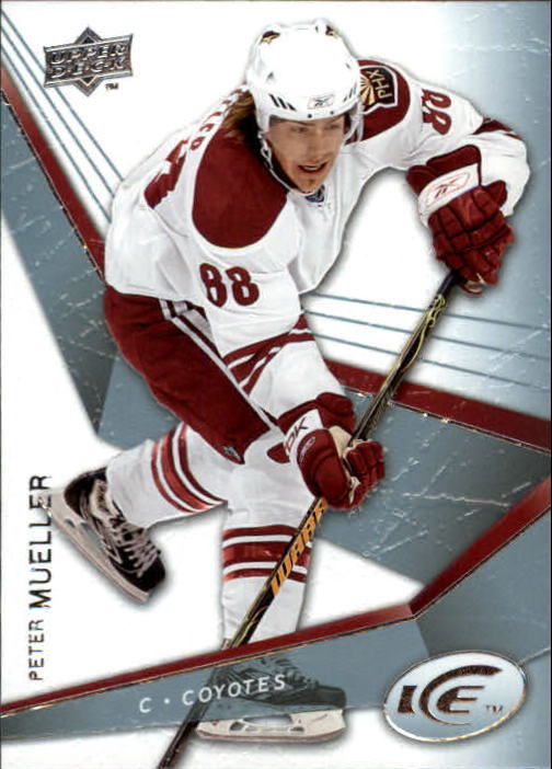 2008-09 Upper Deck Ice - #13 Chris Drury