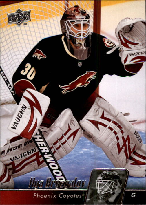 2010-11 Upper Deck - #61 Brian Boucher