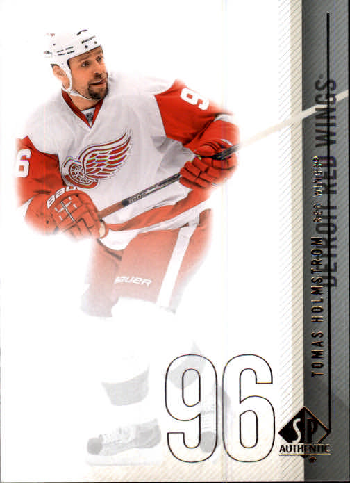 2010-11 SP Authentic #6 Tomas Holmstrom