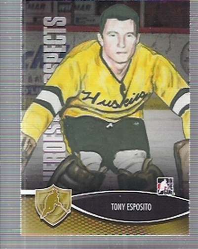 2012-13 ITG Heroes and Prospects #29 Tony Esposito H